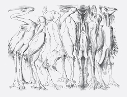 Galerie Lochner, KA7: Günter Grass, Ausstellung