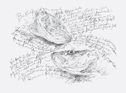 Galerie Lochner, KA7: Günter Grass, Ausstellung
