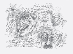 Galerie Lochner, KA7: Günter Grass, Ausstellung
