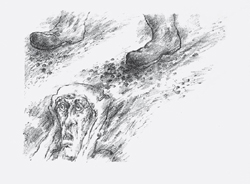 Galerie Lochner, KA7: Günter Grass, Ausstellung