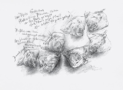 Galerie Lochner, KA7: Günter Grass, Ausstellung